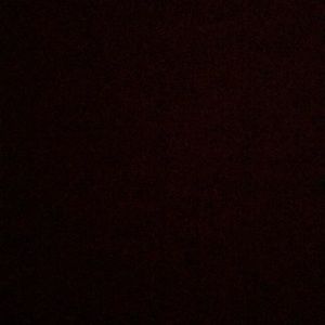 Meet your Posher, Rae